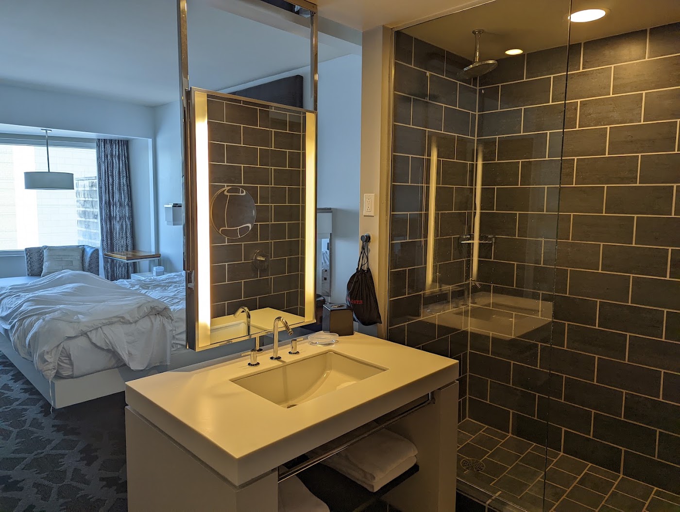 W Dallas, dog-friendly hotel, photo 4