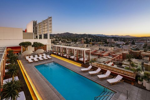 W Hollywood, dog-friendly hotel, photo 3