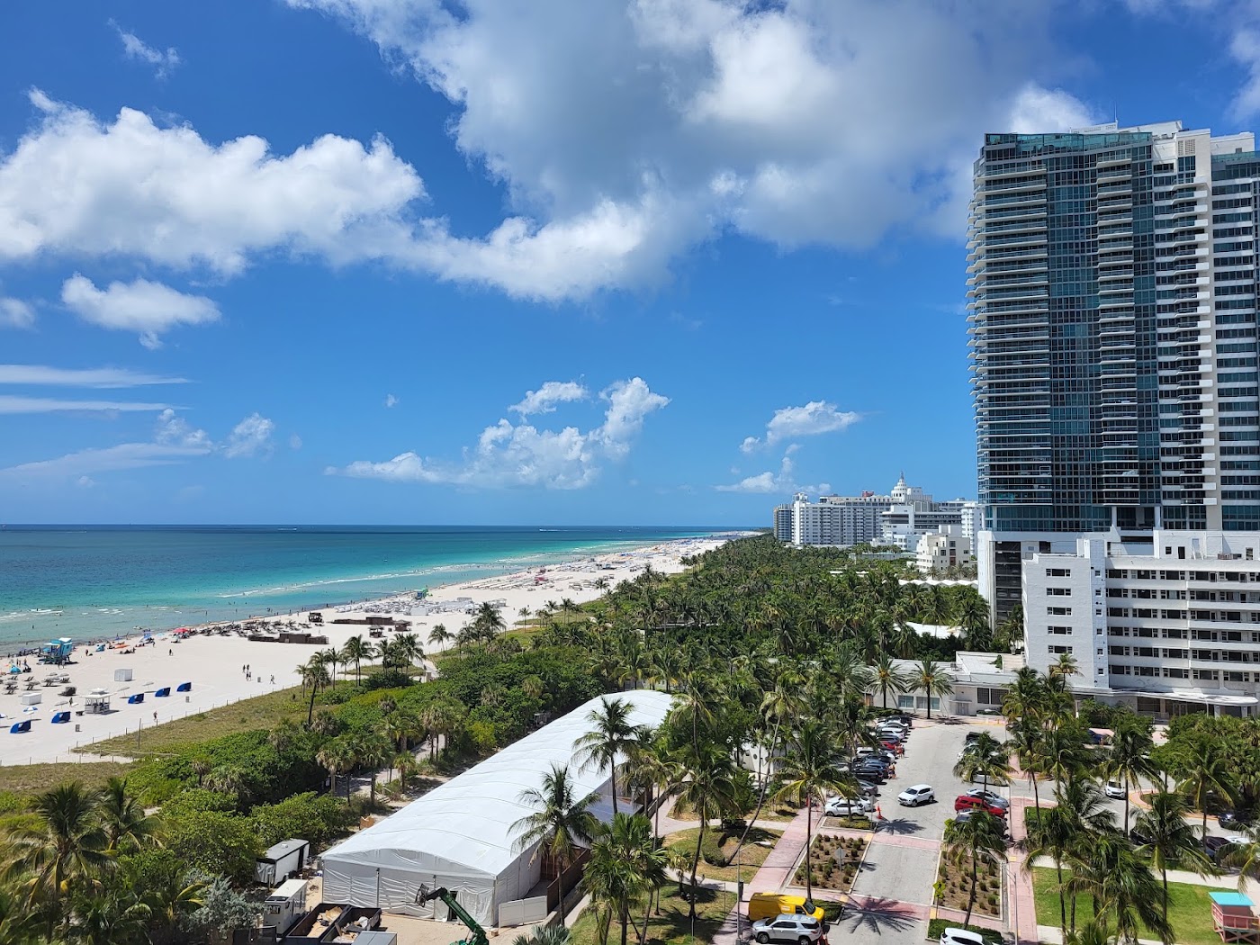 W South Beach, dog-friendly hotel, photo 5