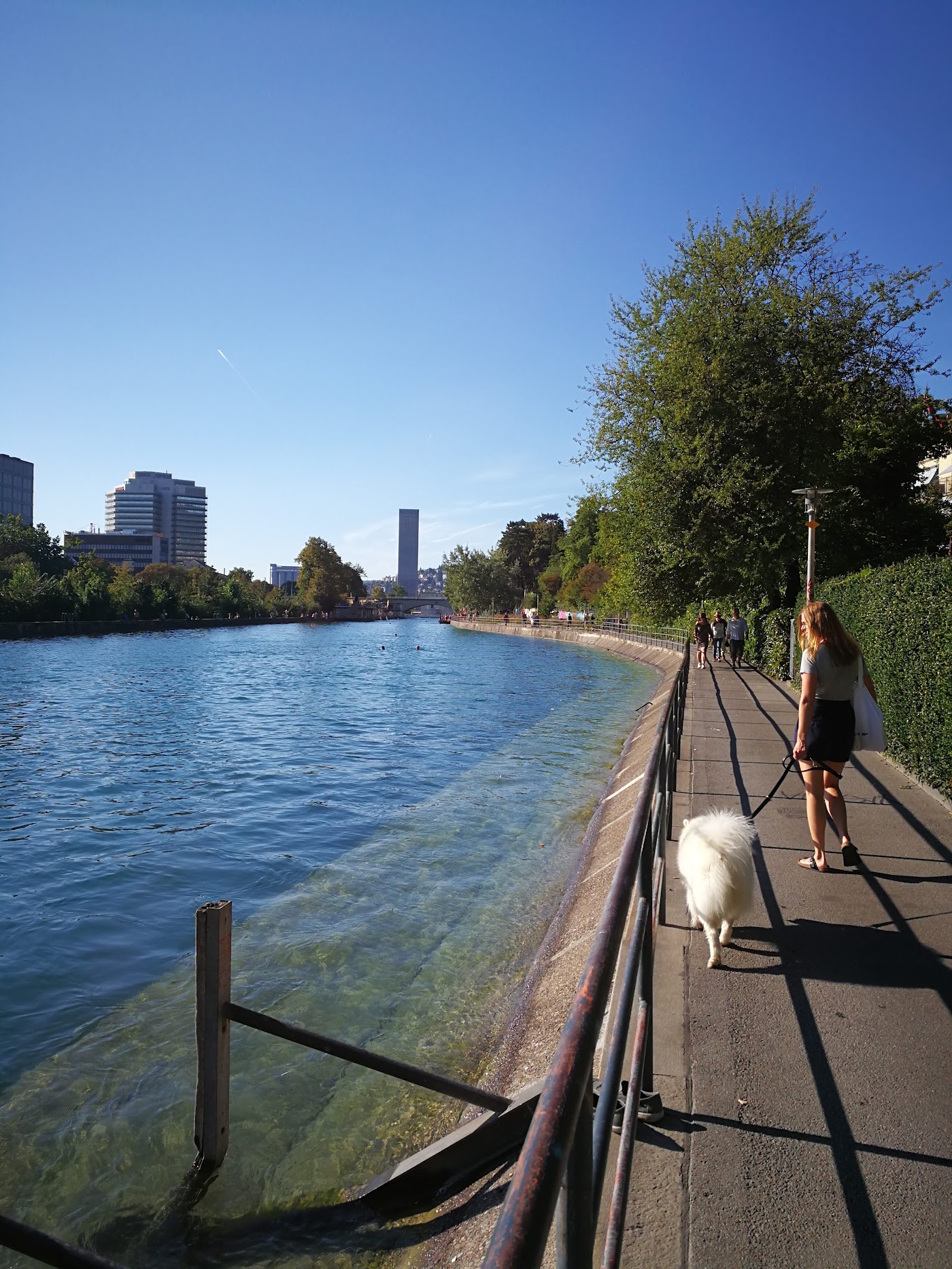 Zurich Marriott Hotel, dog-friendly hotel, photo 3