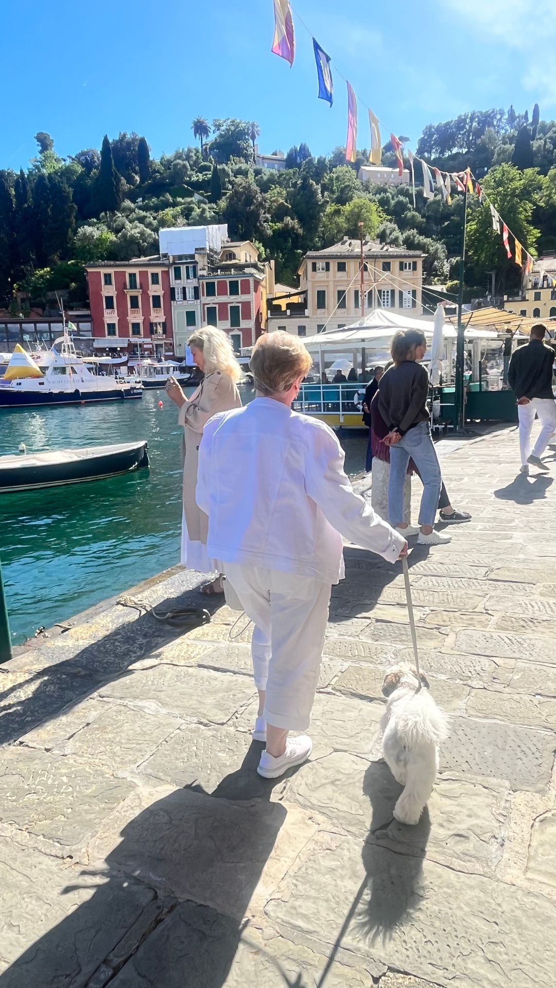 dog friendly Portafino