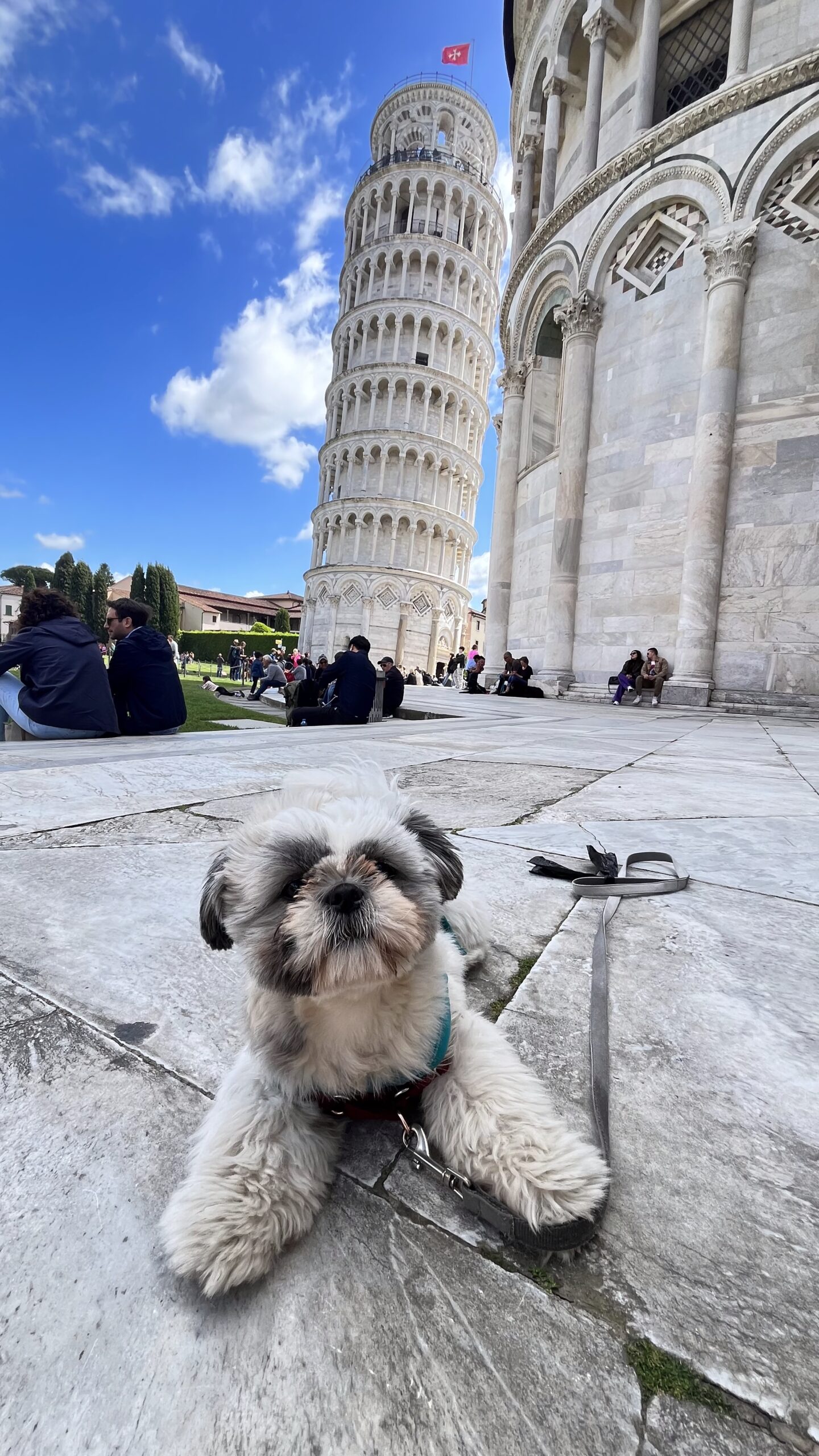 DOG FRIENDLY PISA ITALY