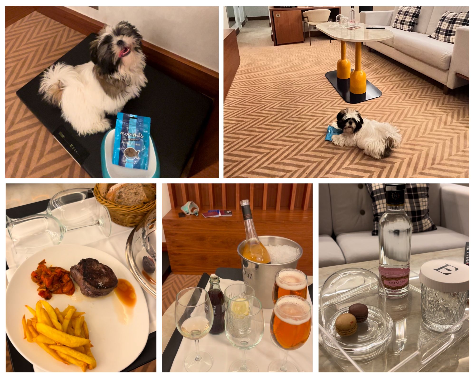 Dog-Friendly Hotel Bilbao