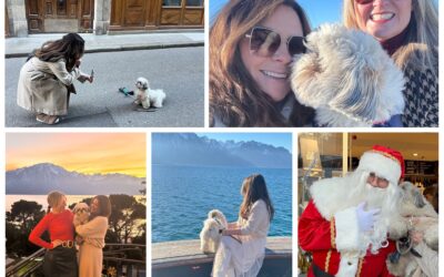 A Dog-Friendly Swiss Adventure: Geneva, Montreux, Glacier 3000, and Gstaad with Crazy Daisy