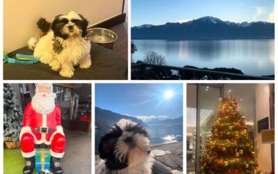 Dog-Friendly Hotel Review: Grande Hotel Suisse Majestic, Montreux, Switzerland