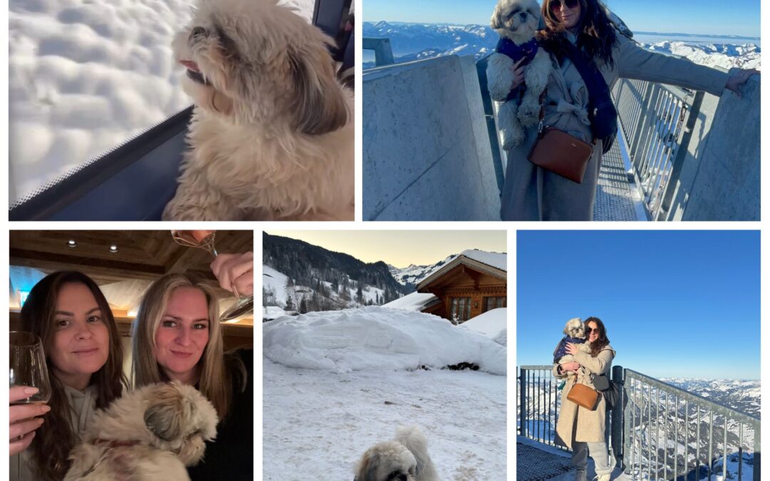 Glacier 3000 and Gstaad: A Dog-Friendly Adventure in the Swiss Alps