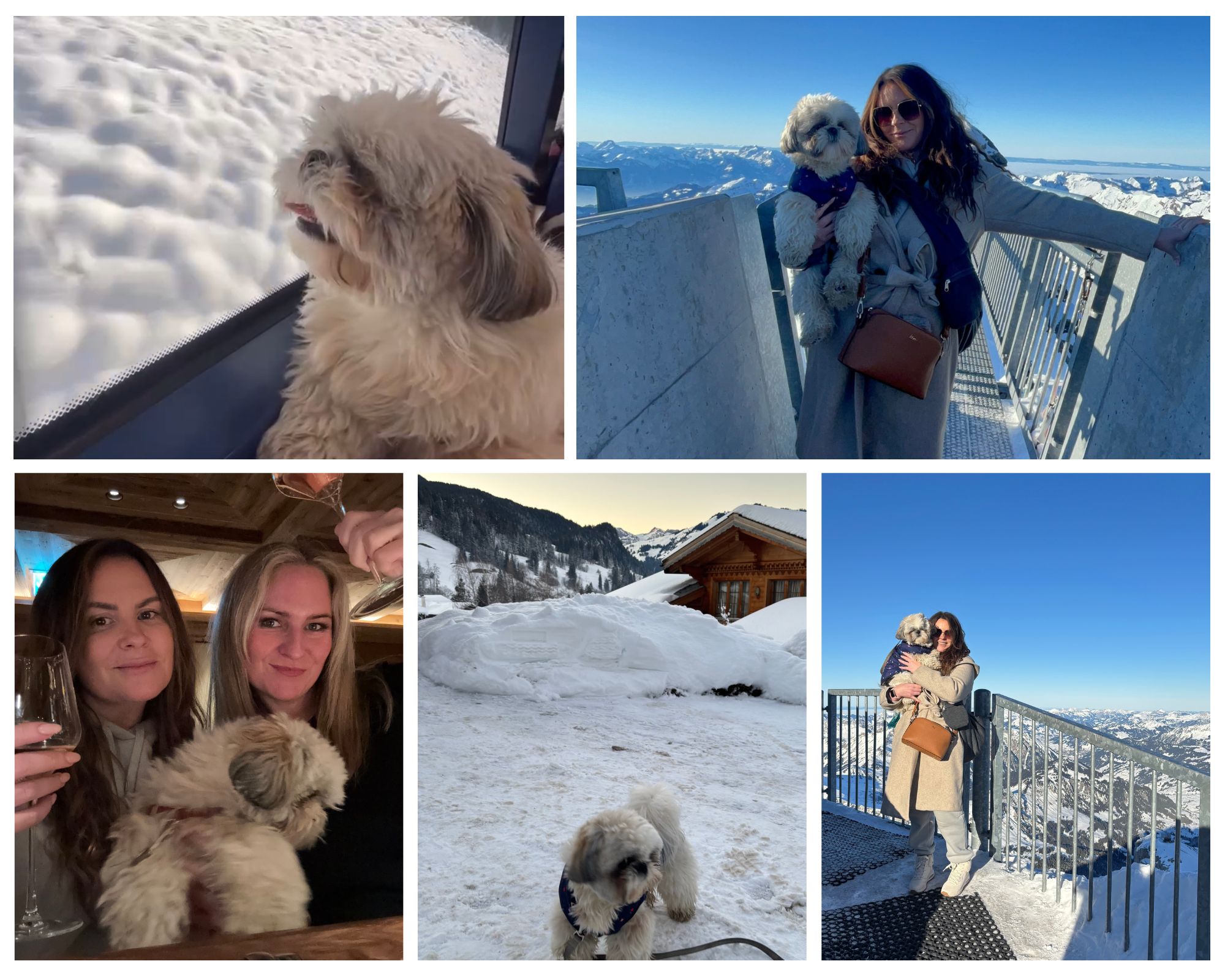 Gstaad glacier 300 dog friendly