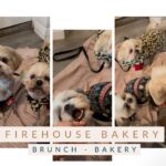 firehouse bakery dog friendly wicklow