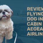 FLY WITH DOG AEGEAN AIRLINES