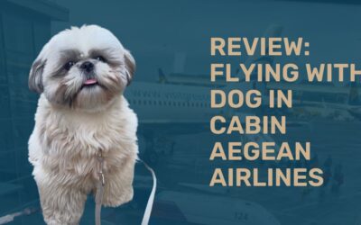 Flying with Your Dog: A Review of Aegean Airlines from Dublin to Athens