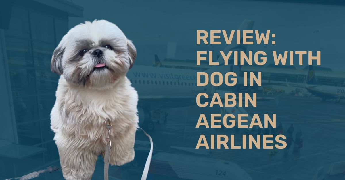 FLY WITH DOG AEGEAN AIRLINES