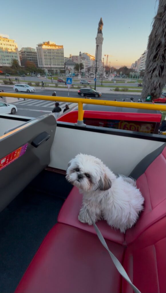 daisy enjoying Lisbon city sightseeing tour