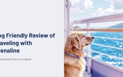 A Comprehensive Review of Traveling with a Dog on Stena Line from France to Ireland