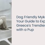 dog friendly Mykonos