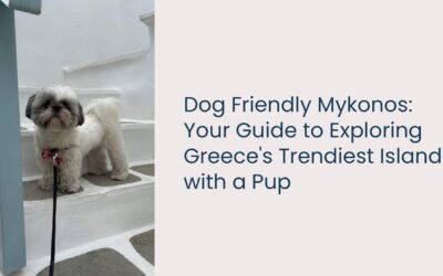 Dog Friendly Mykonos: Your Laid-Back Guide to Exploring Greece’s Trendiest Island with a Pup