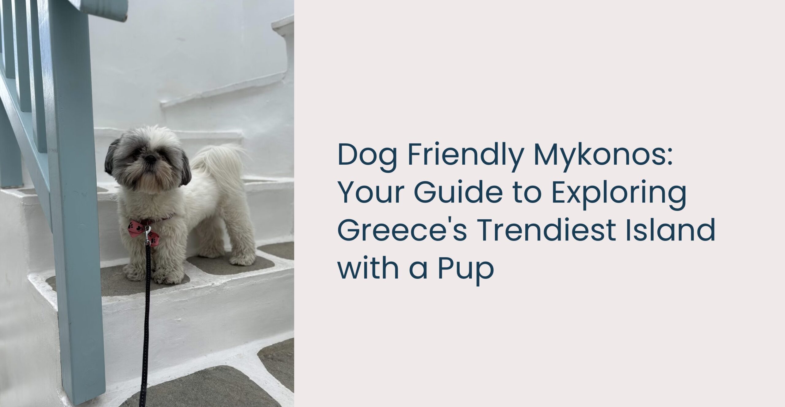 dog friendly Mykonos