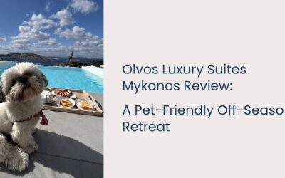 Olvos Luxury Suites Mykonos Review: A Pet-Friendly Off-Season Retreat with Private Pools & Stunning Aegean Views